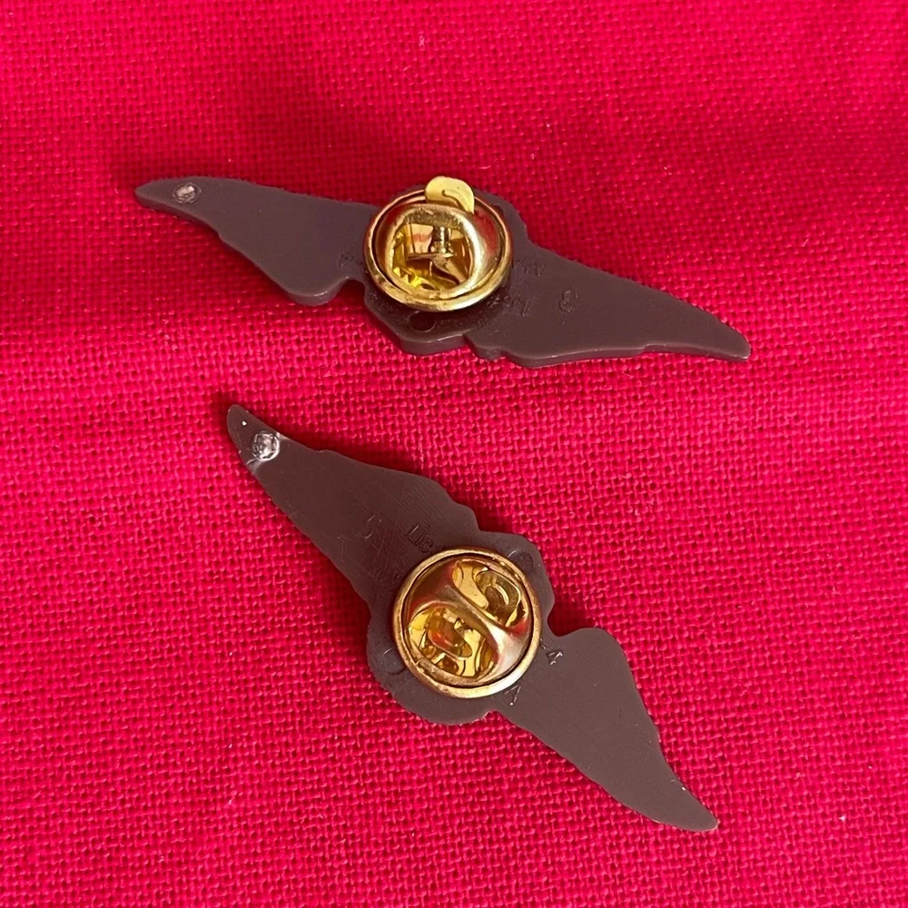 Smokey Bear Winged Pins - Picture 4 of 5